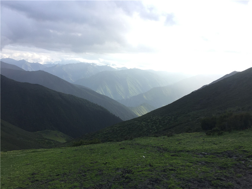 牧場遠眺。.jpg
