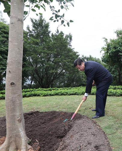 2012年12月7日至11日，習(xí)近平在廣東省考察工作。這是8日上午，習(xí)近平在深圳蓮花山公園種下一棵高山榕樹。新華社記者 蘭紅光 攝